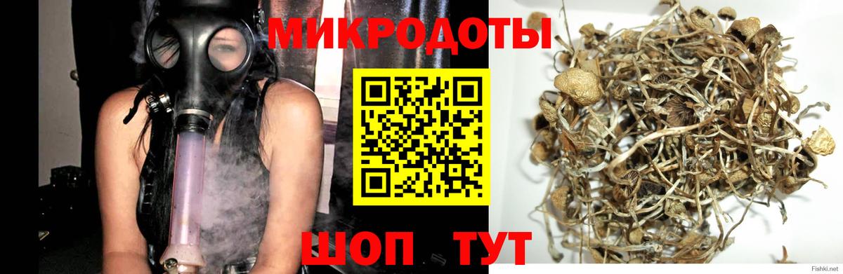 Псилоцибиновые грибы мухоморы  Галлюциногенные грибы прущие грибы  Лобня  Вход с VPN 